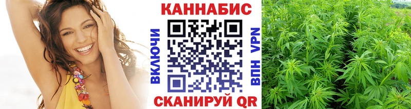 купить наркоту  Сольвычегодск  Марихуана Ganja 